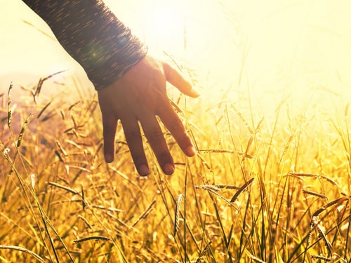 National Wellness 6 5 min