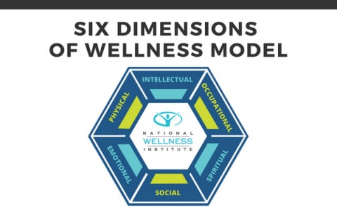6D2_Page-Redirect-2-480x307-min NWI Six Dimensions of Wellness Model