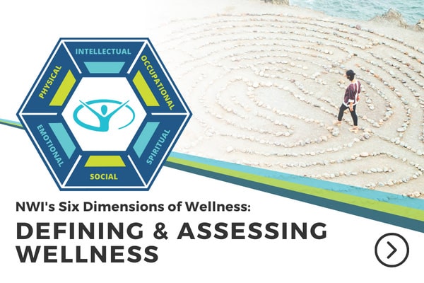 DefiningAssessingWellness_Homepage-min DefiningAssessingWellness Homepage min