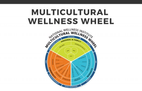 MCC2_Page-Redirect-2-480x307-min NWI Six Dimensions of Wellness Model
